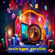 invitrogen purelink genomic dna mini kit